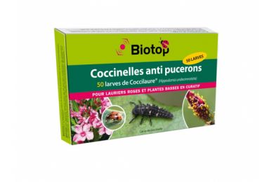 Pochette prépayée - 50 larves Coccilaure anti pucerons - Biotop .. 