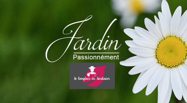 Passionnément jardin