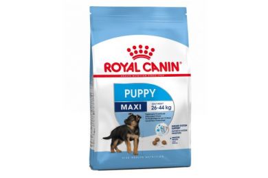  Junior maxi 15 kg - Royal canin