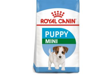 Adulte mini 8 kg - Royal canin 