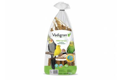 Millet français jaune 1 kg - Vadigran