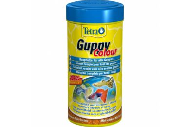 Guppy colour pour poissons guppies -  250 ml - Tetra