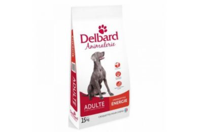 Croquettes chien énergie 15 kg - Delbard