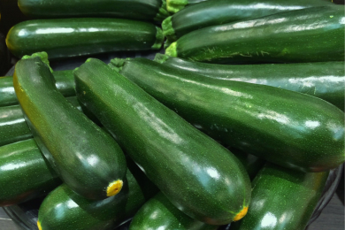 Courgette - Barquette de 6 plants