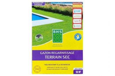 Gazon regarnissage terrain sec - 50m2