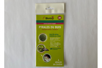 Tricholine Buxus - Auxiliaire de lutte biologique - Pyrales du buis - Biotop ..