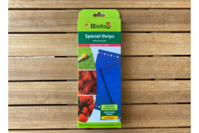 Pièges bleus englués - Détection et suivi - Spécial thrips - Biotop