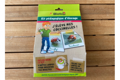 Kit pédagogique d'élevage de coccinelles - Comparaison coccifly et coccilaure