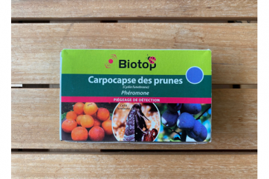 Phéromones - Piégeage de détection - Carpocapse des prunes 