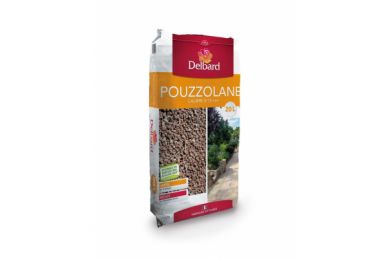 Pierre de Pouzzolane 20L - Delbard